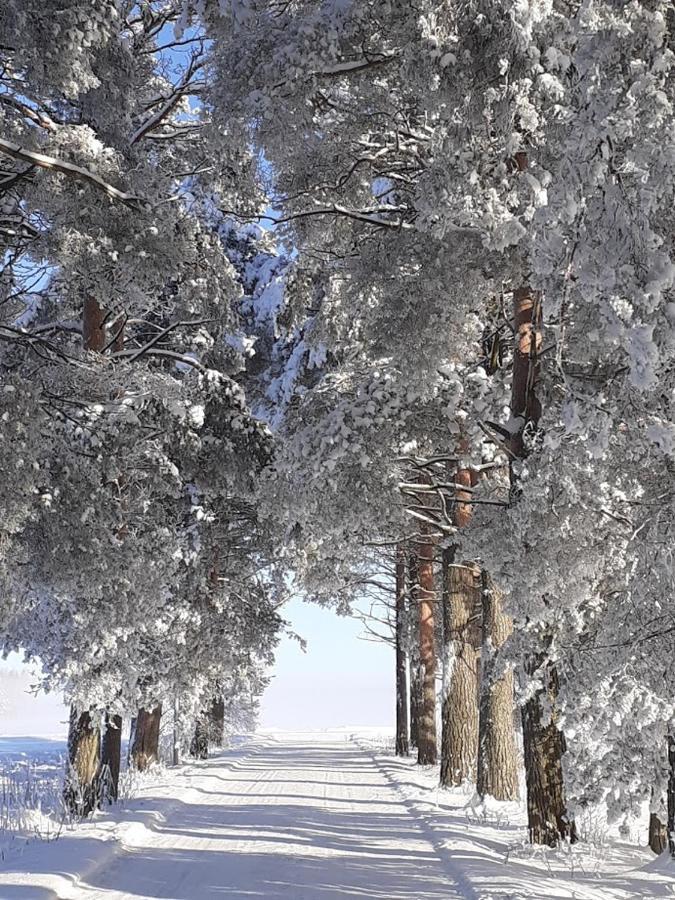 Jokihovi Hotel Nivala Buitenkant foto